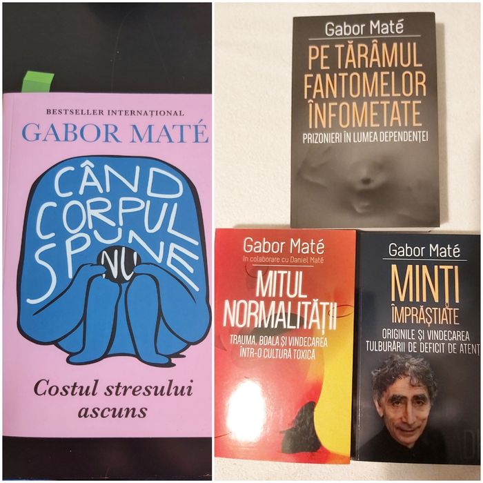 Vand set Gabor Mate, Cand corpul , Mitul normalitatii, Tine-ti copiii