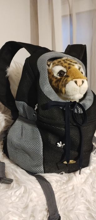 Сладка раничка за носене на малки животни до 4 кг