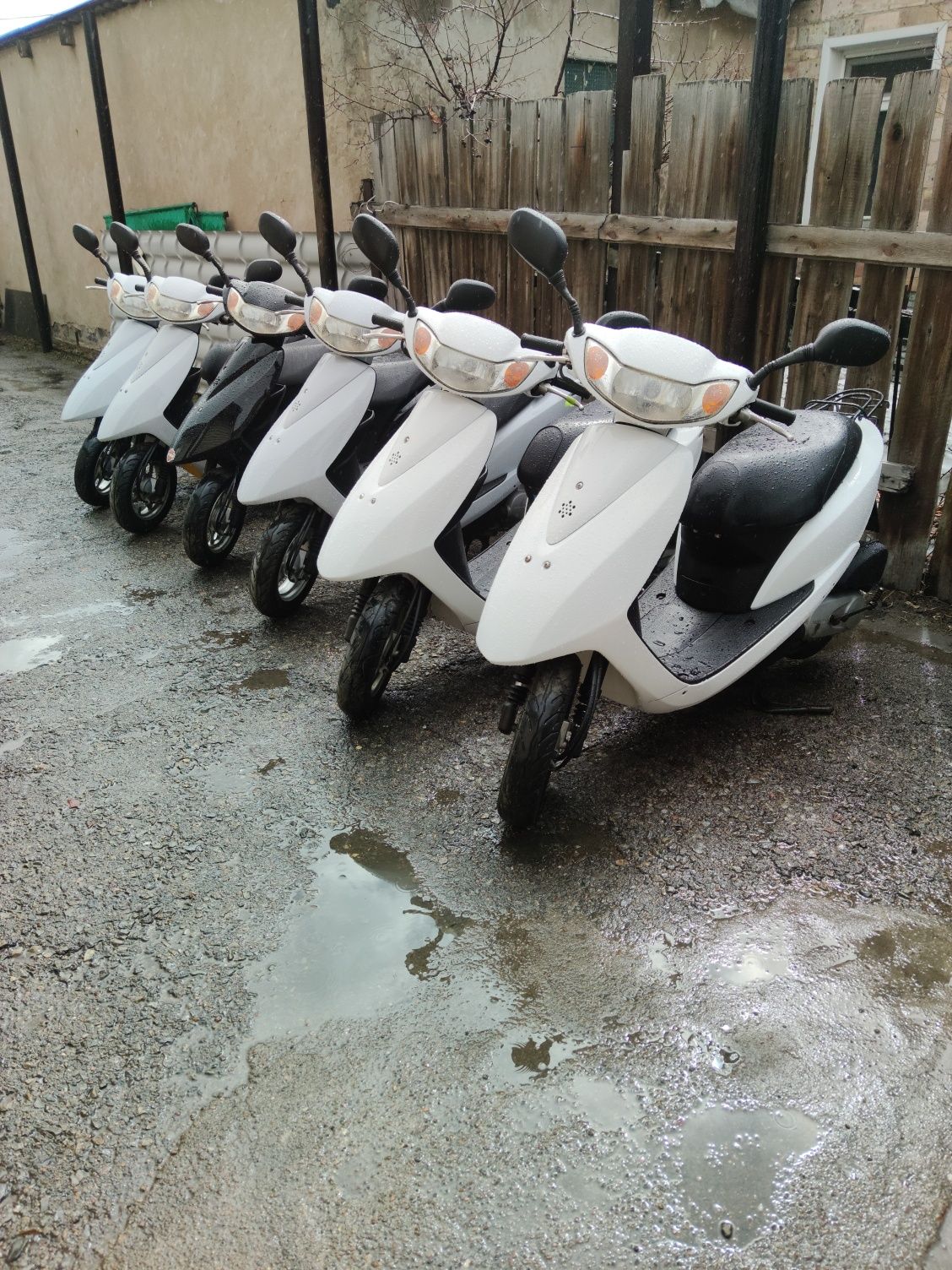 Honda dio. Suzuki