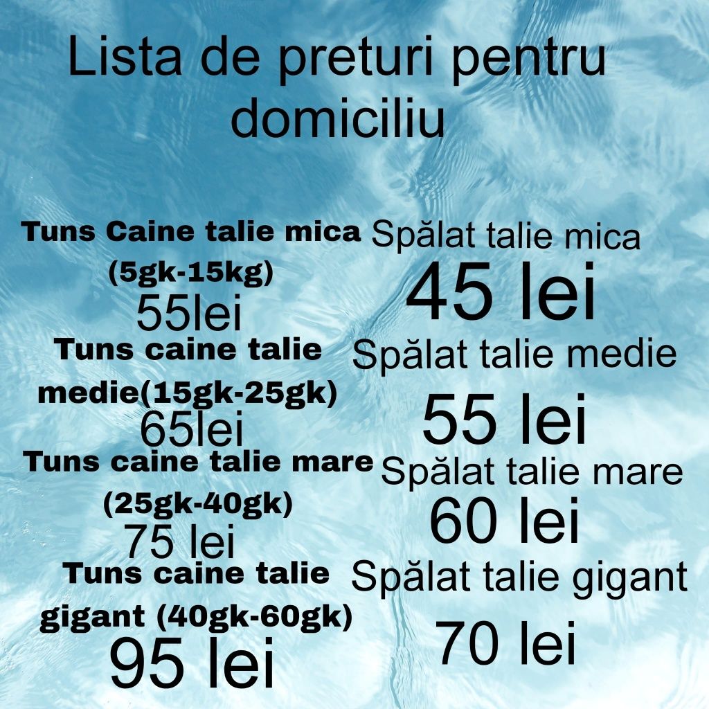 Grooming câini și pisici