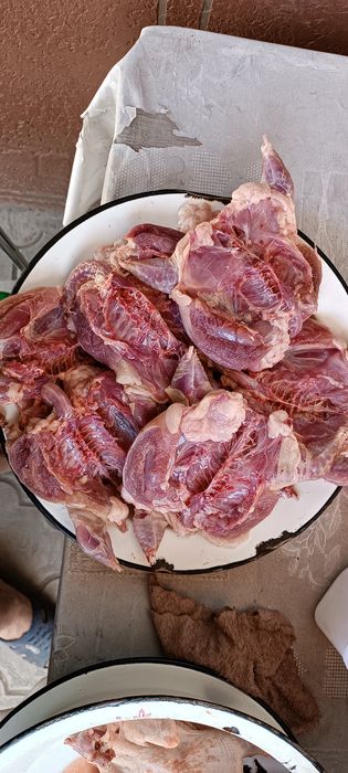 Продаётся домашнее мясо перепёлки .