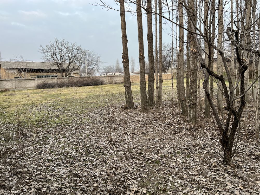 Yer sotiladi Erkin postdan 9 km yurganda M39 yolida 50 metr