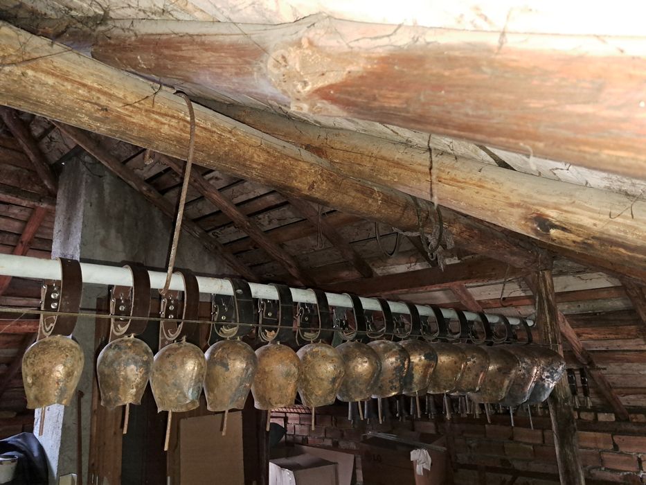 Хлопки. Чанове. Чан