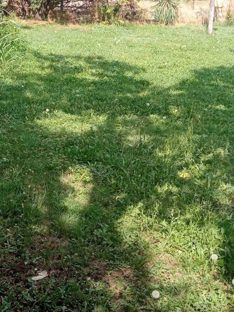 Продава се Парцел в Русе, Алеи Възраждане - 898 кв.м за 30 €/кв.м - Снимка #1