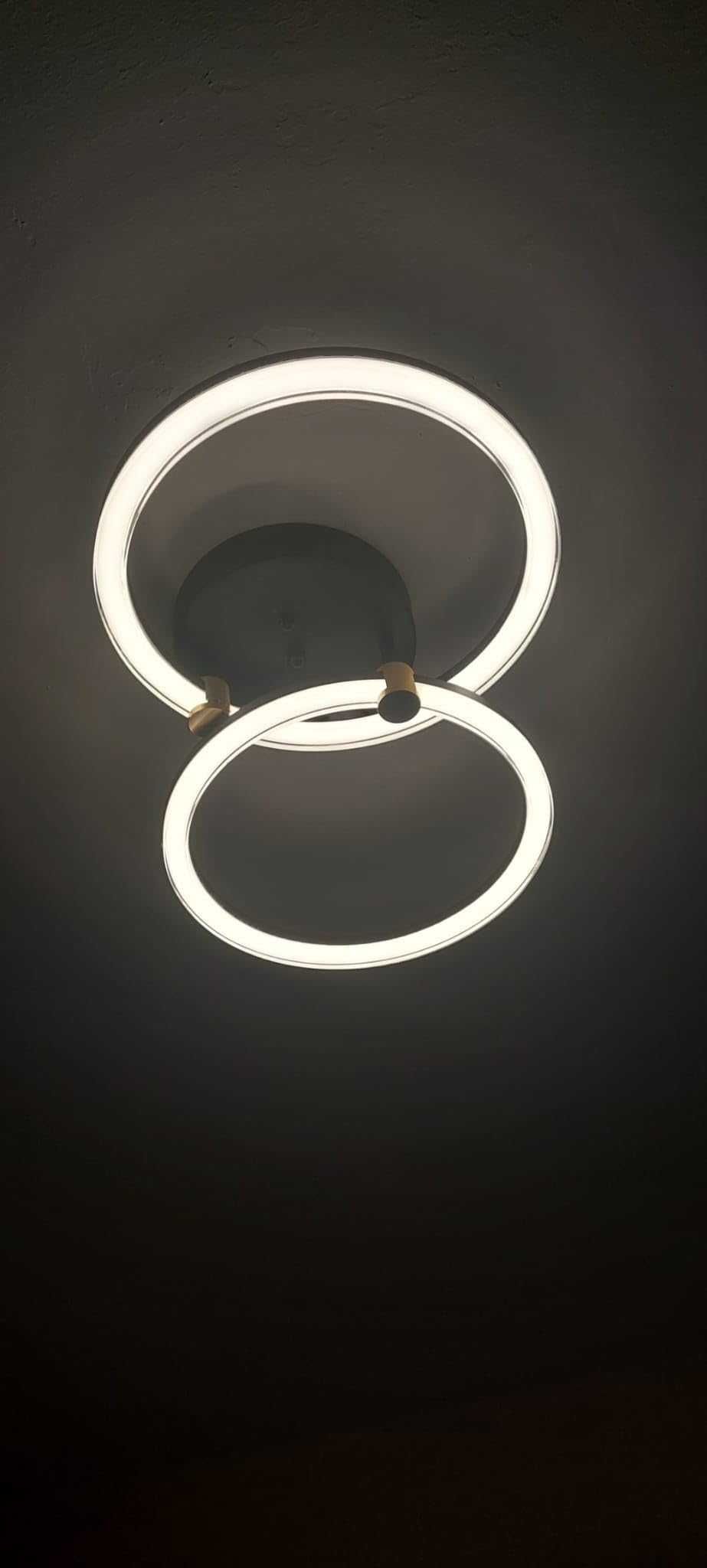 Модерно LED таванно осветително тяло EIDISUNY, 2 пръстена, 36W, 45cm