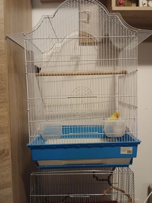 Colivii noi la jumătate de preț