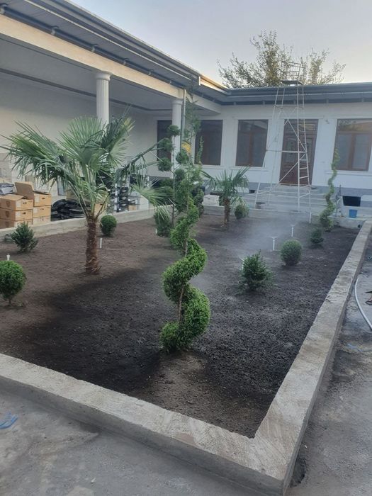 Archa Va gazon Lanshaft xizmatlari bor