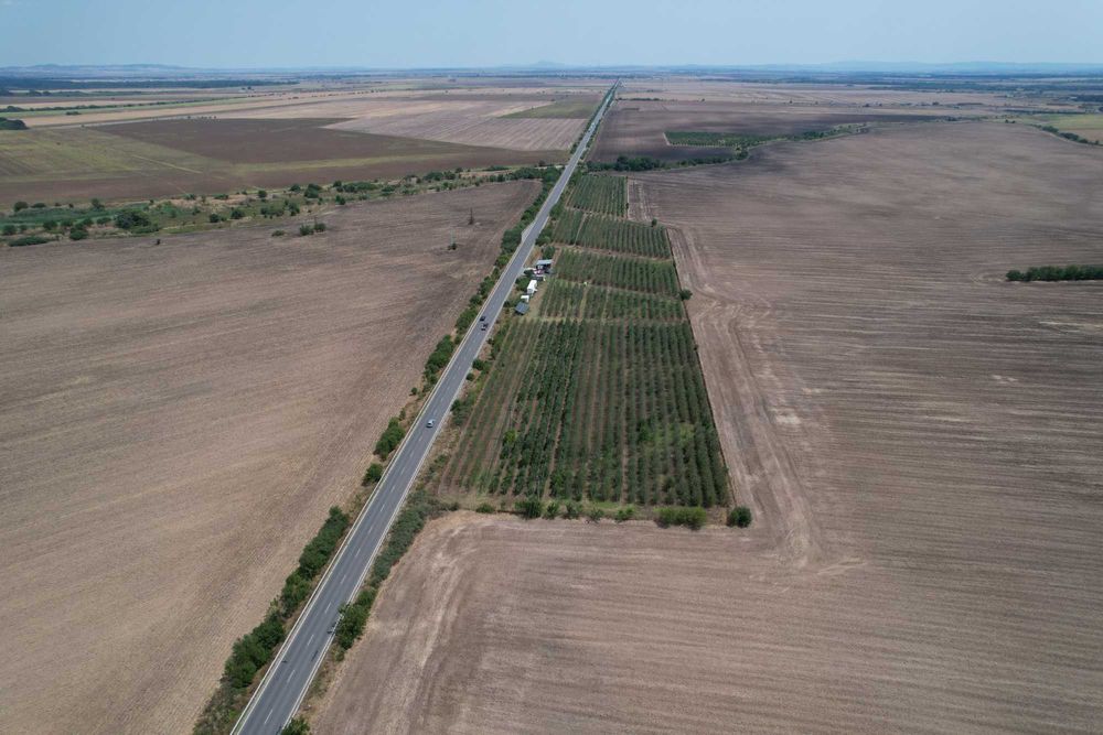 ПРОДАВАМ печеливша ябълкова градина в с. Могила
