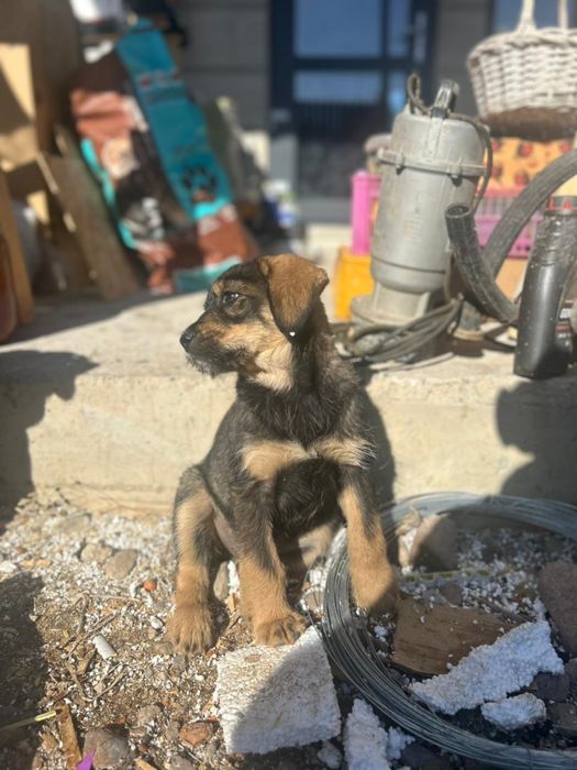 Девочка ищет дом