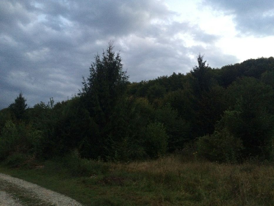 Teren Intravilan Valea Avrigului