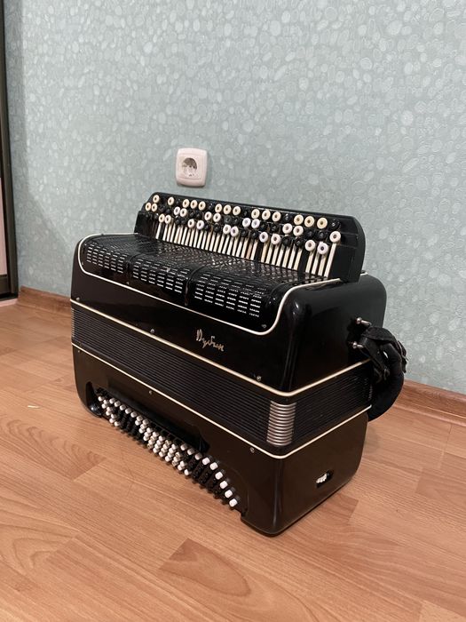 Баян Рубин сатылады