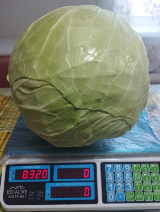 Продам капусту..