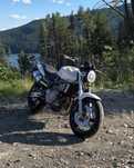 Honda hornet 600 LIMITAT A2