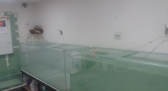 Аквариумы в хорошем состоянии. Продаю свои Аквариумы с водой