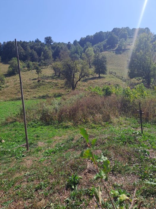 Casa de vanzare + teren  in sat poieni , comuna densus , judet HD