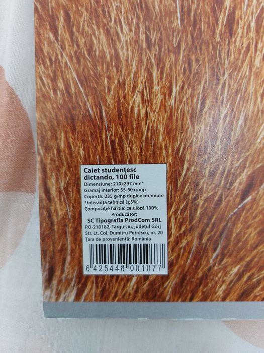 Caiet studențesc dictando 100 file