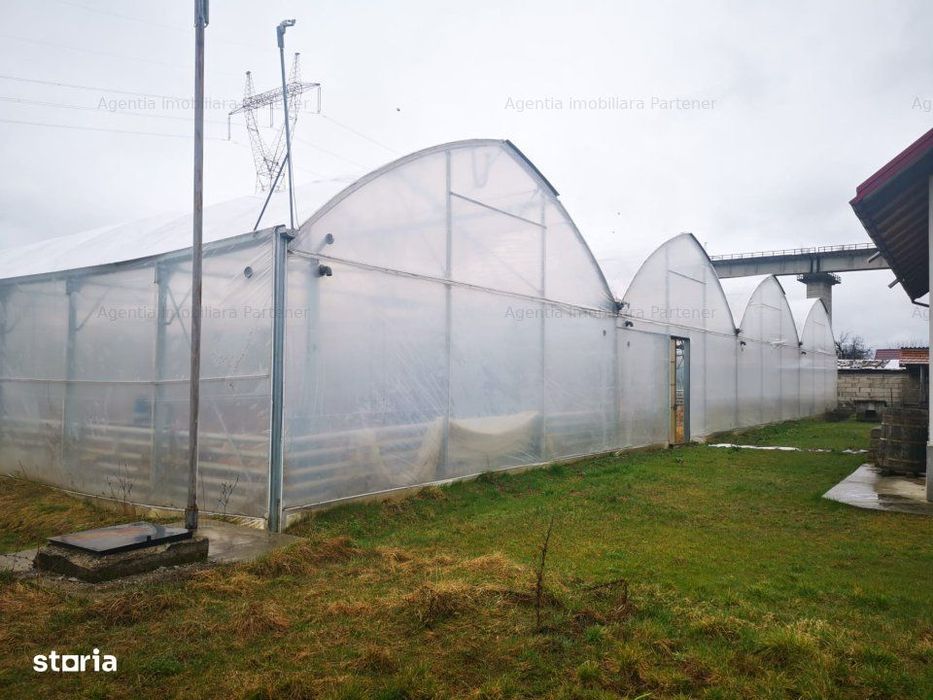Teren 12.000mp + sera 3.000mp, Ciofrangeni-Arges
