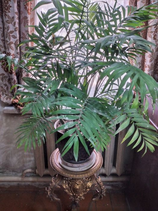 Продаётся. Комплектация