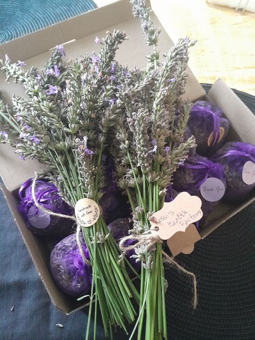 Суха лавандула 10 и 20гр.