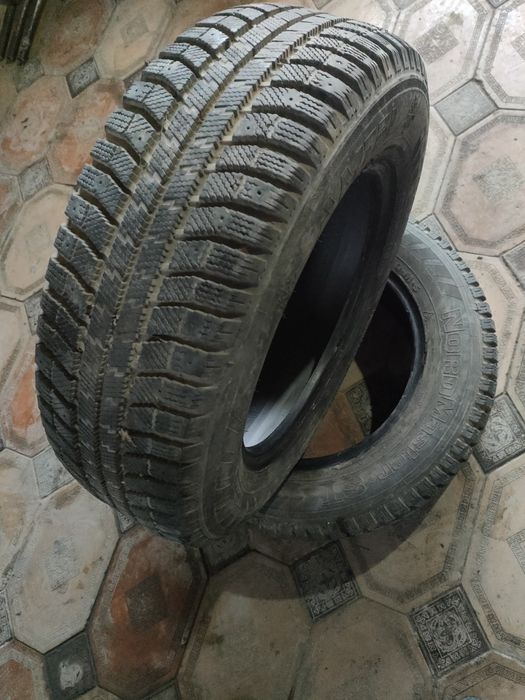 Шина шины болоны