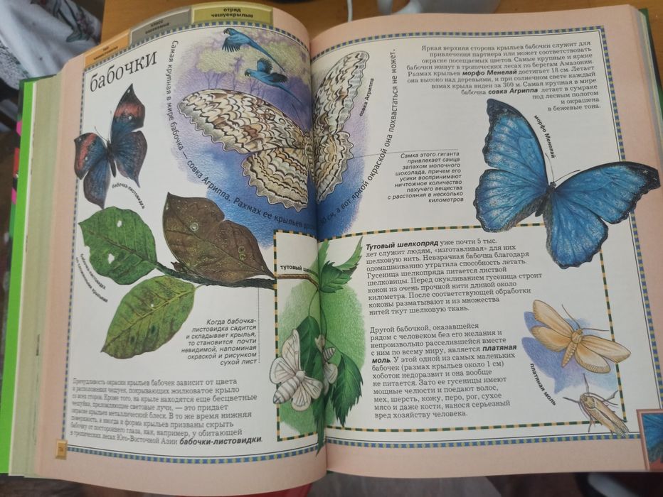 Большая энциклопедия животного мира.Новая.