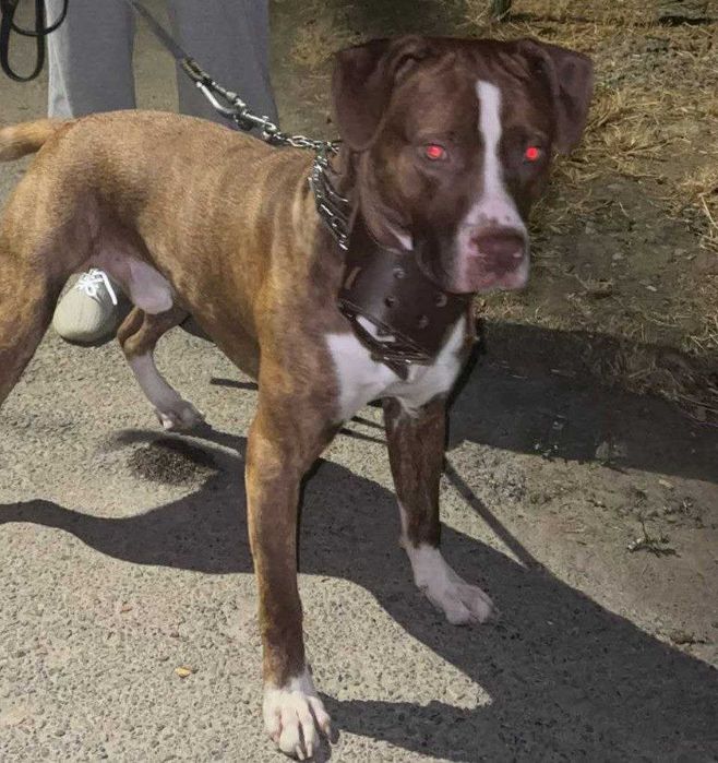 предлогаем кабеля для вязки