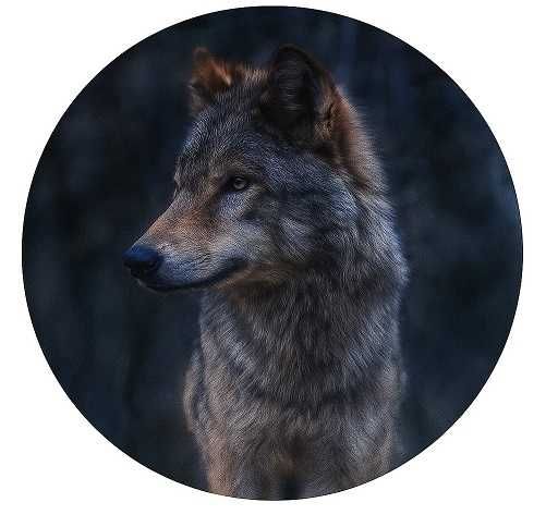 Калъф за резервна гума 15"/16'' цола Мечка/Глиган/Вълк/Елен