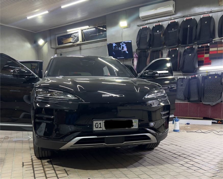 Champion restyling 2024/2025 FULL 605