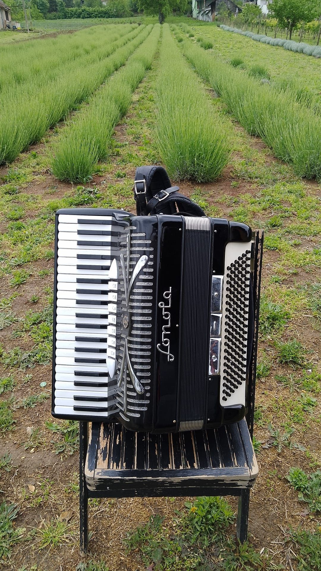 Vand acordeon Sonola