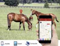 GPS Трекер  ТК 915 ТК905 для отслеживания: Лошадей,коров, баранов.