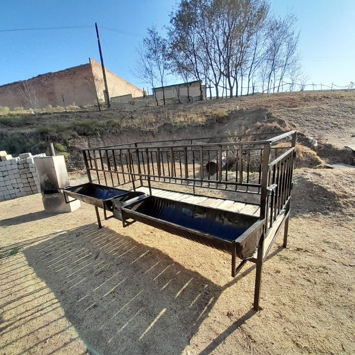 Қошқарлар байлатын орын 10қошқар сияды