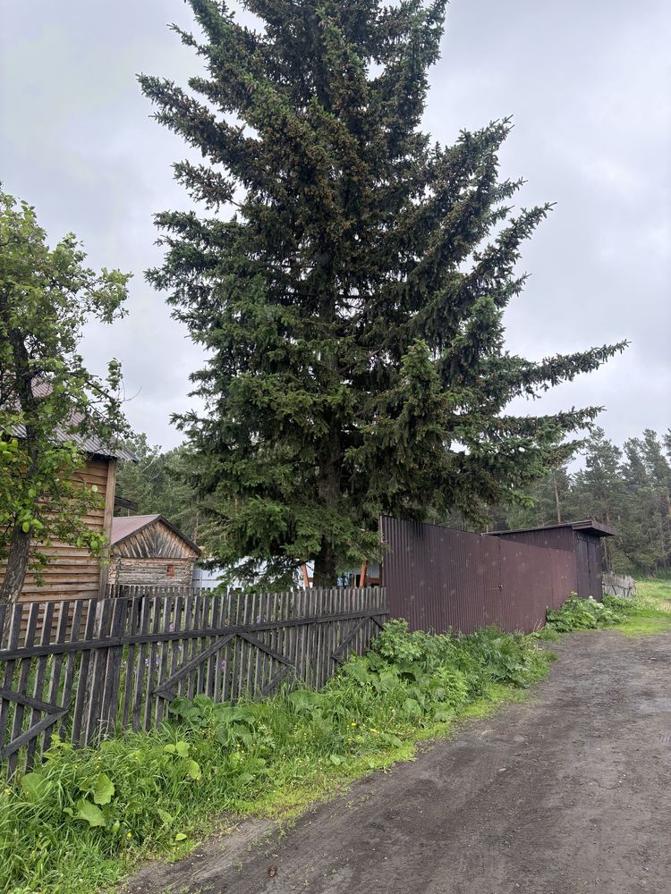 Срочно Продам Дом в деревне