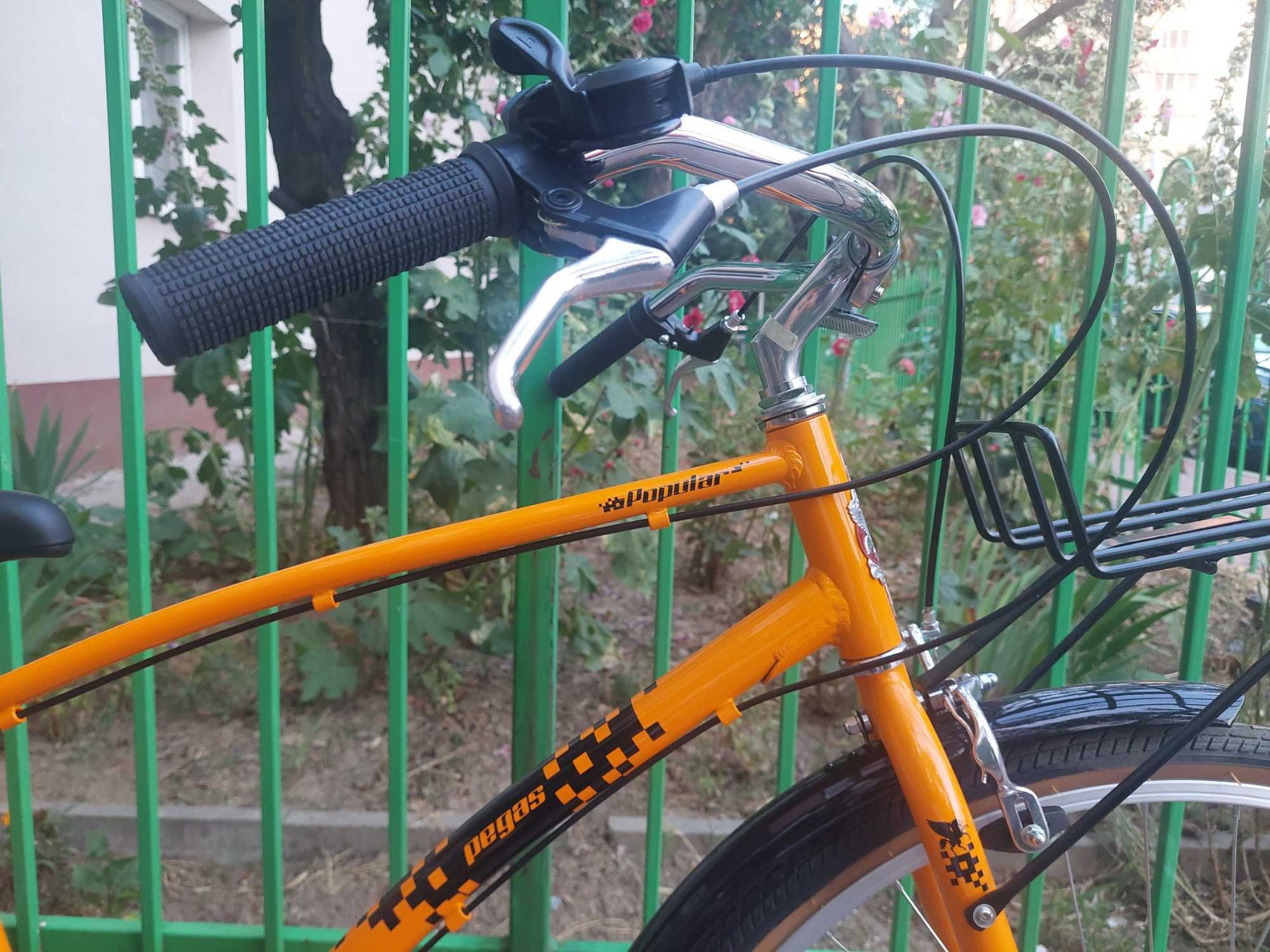 Bicicleta Pegas Popular