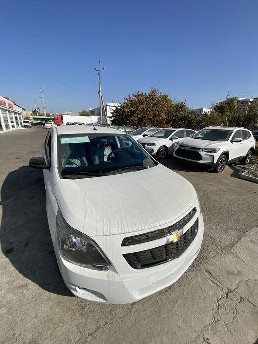 Cobalt 2026 midnight