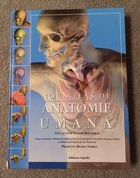 Atlas Anatomie umana