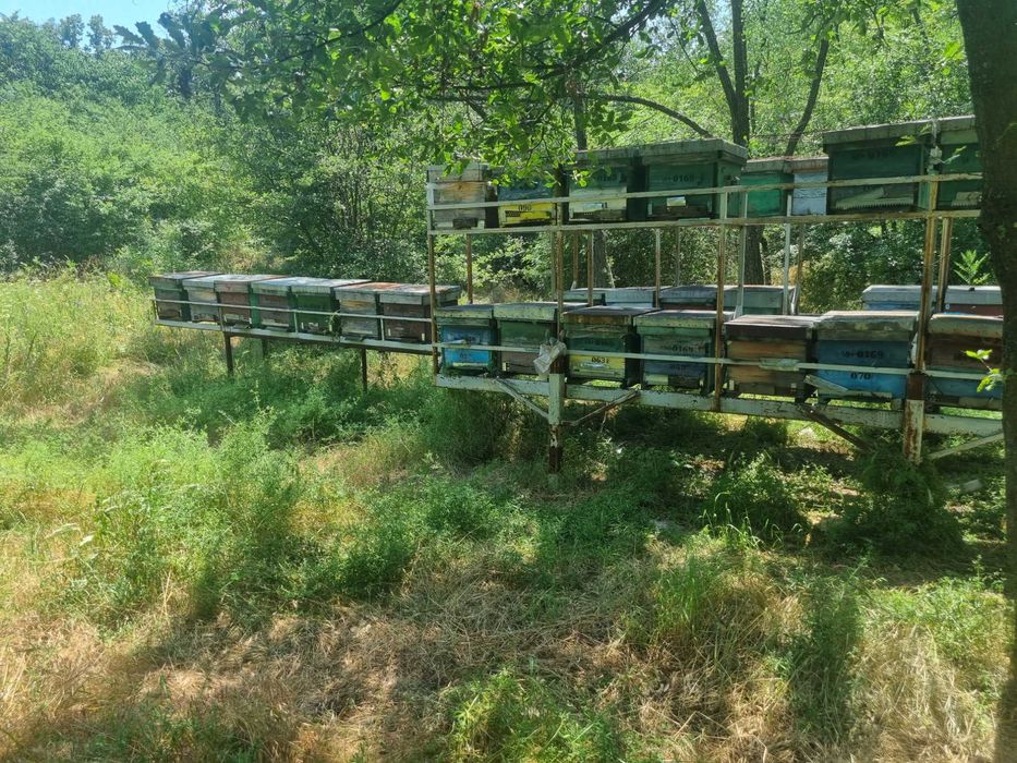 Vând platformă apicolă
