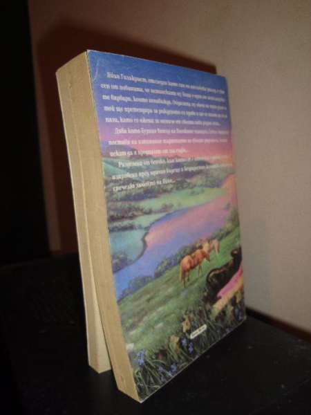 Любовен роман "Сърце в изгнание", автор: Сюзън Танер, книга