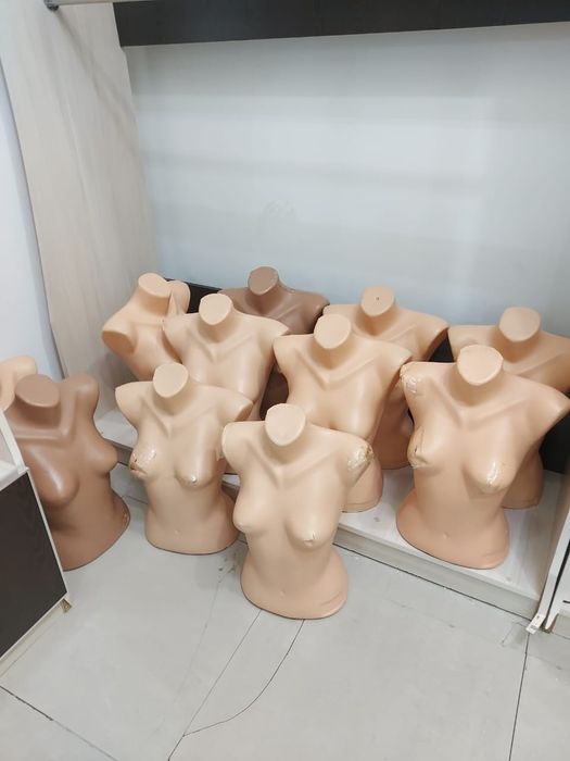 Ағаш уй,алоэ,манекен,шкаф