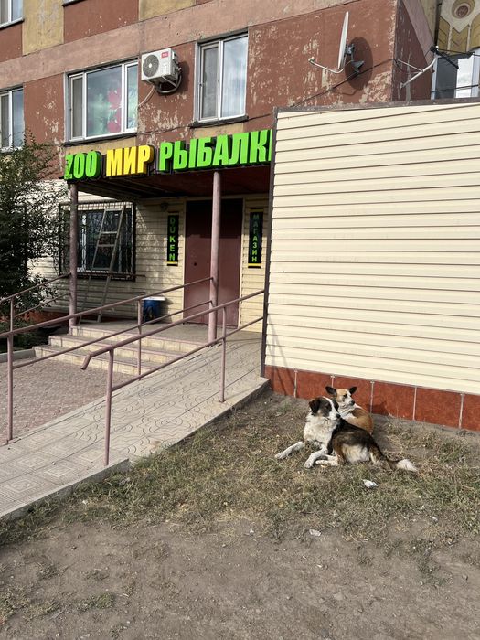 Рыболовные товары