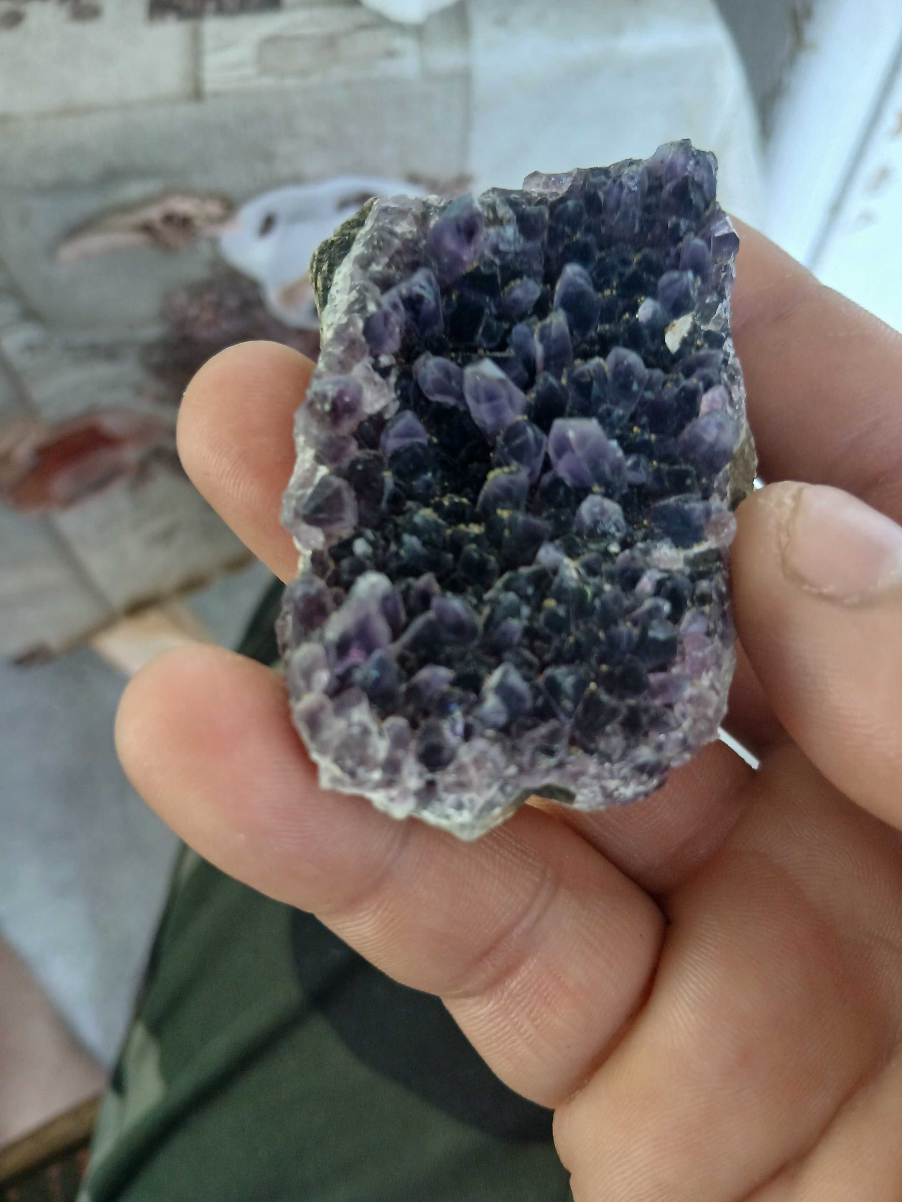 Лот от 6 друзи аметист,със пирит от България.