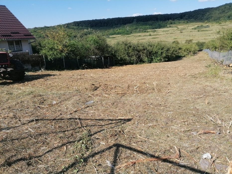 Curatare defrisare terenuri tocat spini