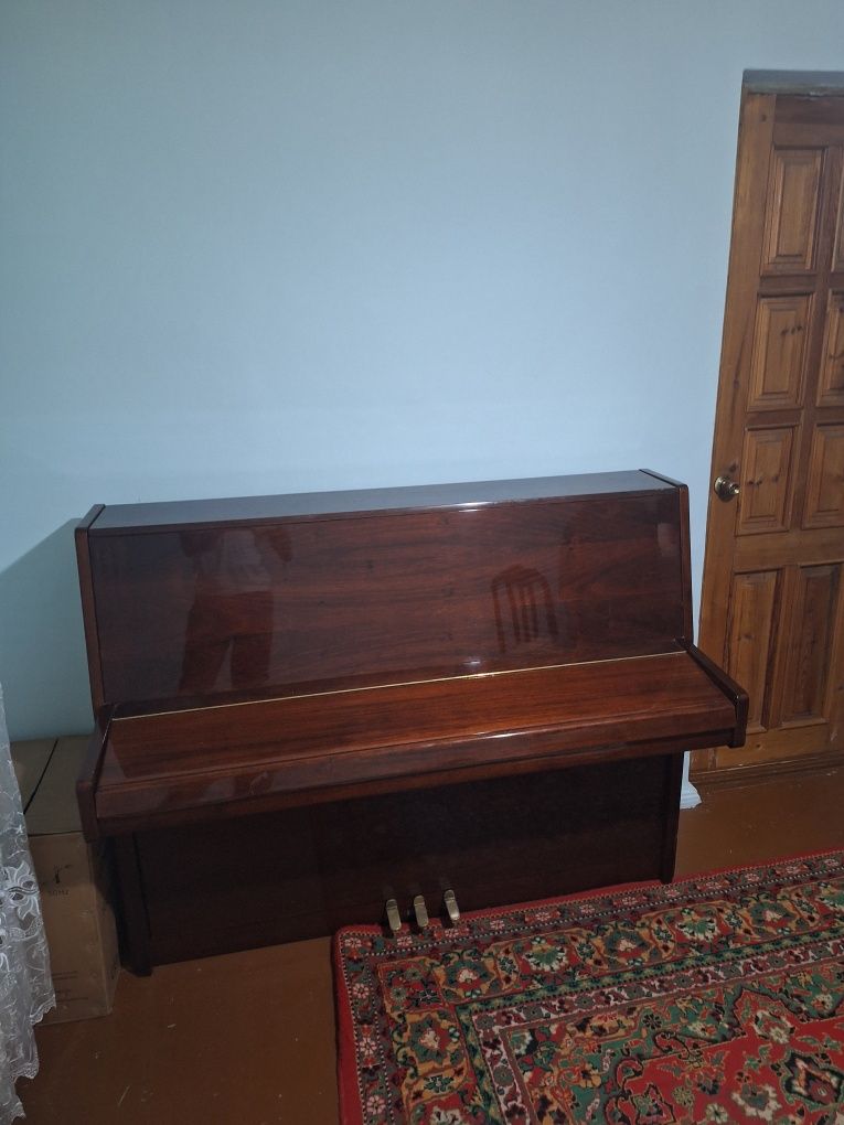 Pianina holati zor
