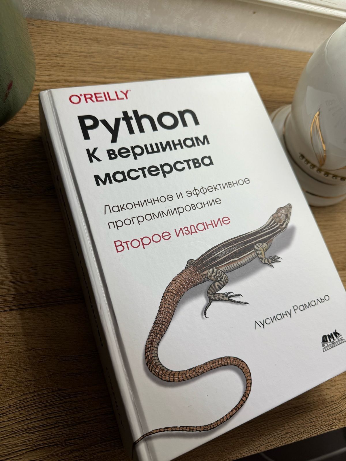 Python к вершинам мастерства