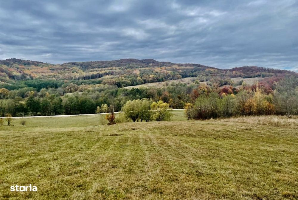 Teren la padure, panoramic dealuri si paduri, curent si asfalt