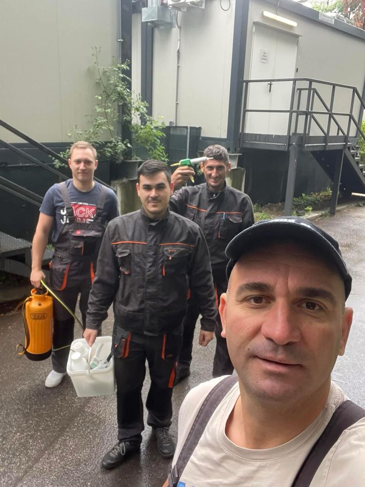 Servicii dezinsectie / deratizare