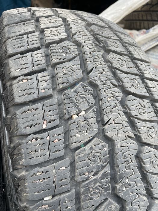 215/65/16 Toyo зимняя