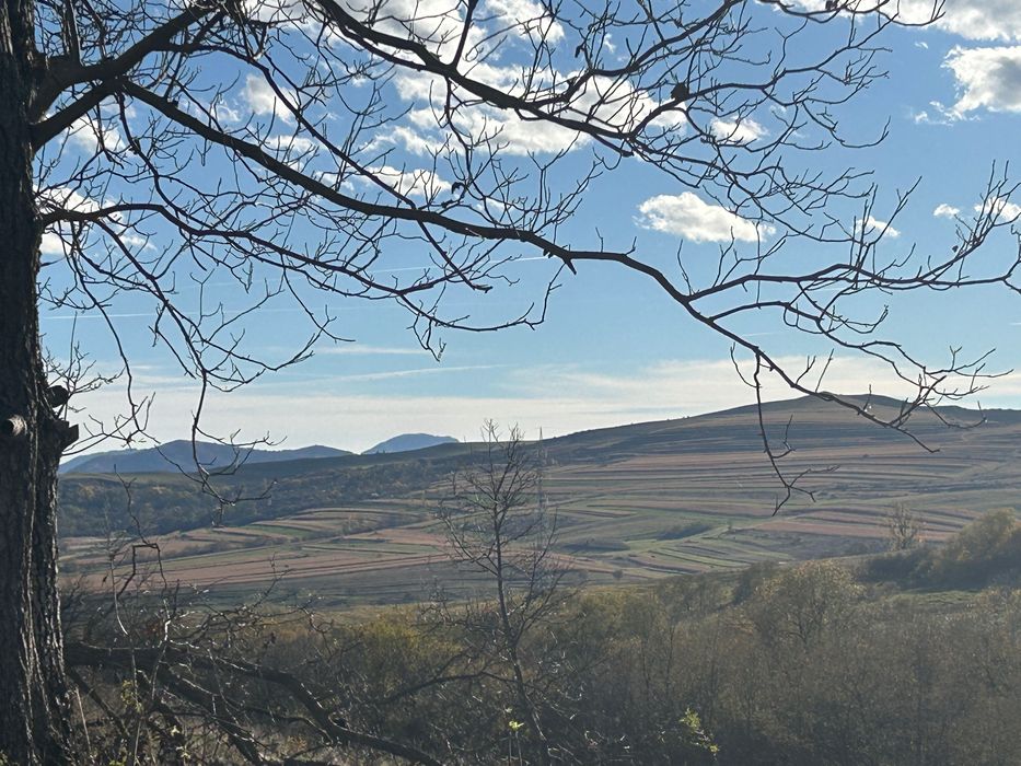 Vinde Teren intravilan 1.415 mp Zonă premium Comuna Ciurila 65 €/mp