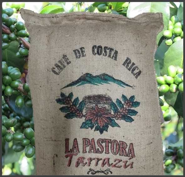 Cafea Verde COSTA RICA Tarrazu La Pastora 2022, Arabica 100%