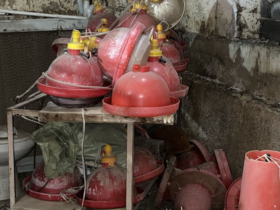 Бролер учун ускуналар