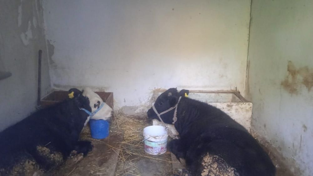 Продам продам продам